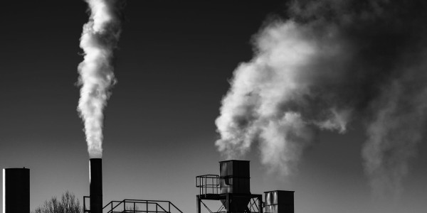 Peritajes Ambientales / Químicos El Sauzal · Informes Periciales de Daños al Medioambiente