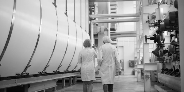 Peritajes Industriales El Sauzal · Informes Periciales de Ingeniería